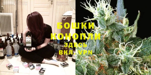 spice Бронницы