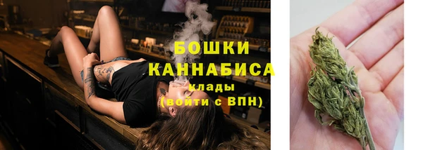 мескалин Бородино