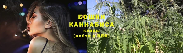 мескалин Бородино