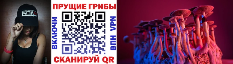 Псилоцибиновые грибы MAGIC MUSHROOMS  Моздок 