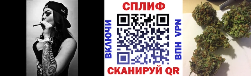 кракен зеркало купить наркотики цена Моздок Канабис семена